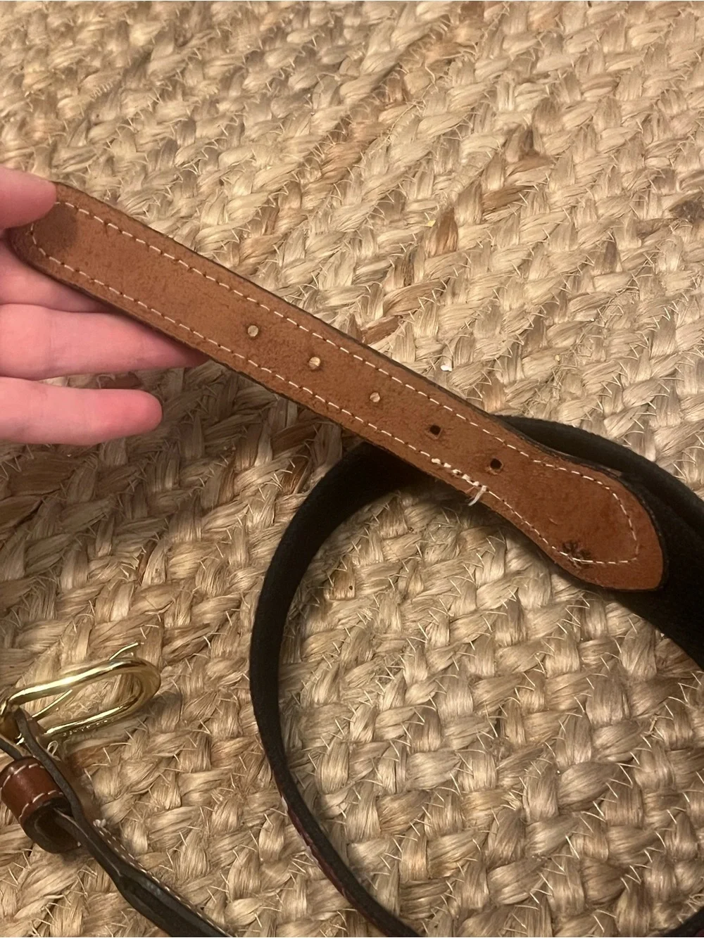 South Carolina Belt Palmetto Web Belt - Burgundy with Brown Leather Trim maroon